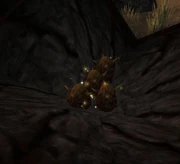 Egg of Onyxia.jpg