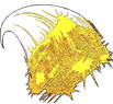 Underbaseusernotice