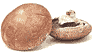 Mushroom portabello