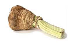 Rootveg celery