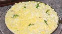 Mimosa1