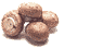 Mushroom cremini