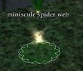 Miniscule spider silks.jpg