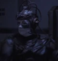 Borg on Ohniaka III.jpg