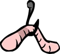 Worm