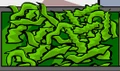 Seaweeds