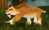 Mountain Lion