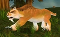 Mountain Lion.jpg