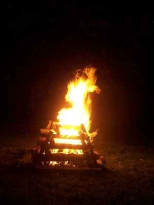 450px-Feu - VTdJ.JPG