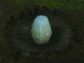 Hippogryph Egg.jpg