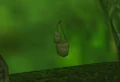 Large Leather Backpacks.jpg