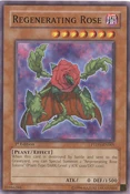 RegeneratingRose-PTDN-EN-C-1E