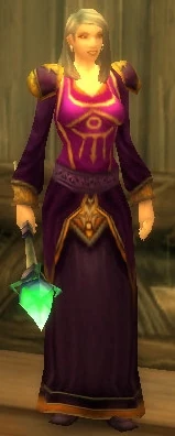 Image of Dalaran Wizard