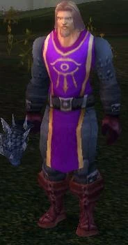 Image of Dalaran Protector