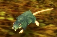 Image of Tainted Rat