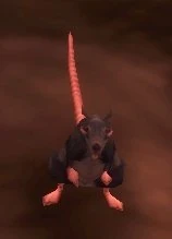 Image of Plagued Rat