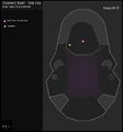Kael-Layout-p4.jpg