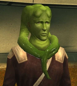 Lurarkasulas.jpg