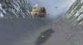 Fornaboo10.jpg