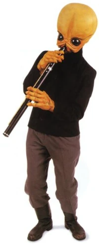 Doikk.jpg