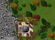 Area and Quest 6
