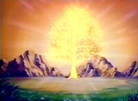 The Tree of Light