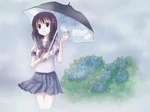 梅雨.jpg