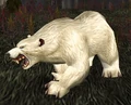 Grimclaw.jpg