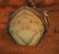 Webwinder smile
