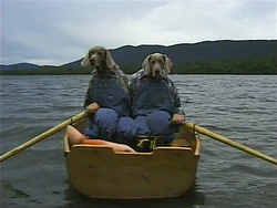 BattyCrookyBoat