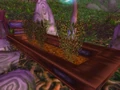 Sprouted Frond.jpg