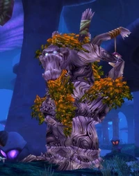 Image of Ashyen
