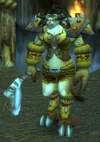 Barrens Guard