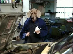 Dogmechanic