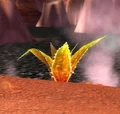Incendia Agave.jpg