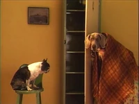 Wegman.Hubbard.jpg