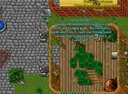 Druid guild