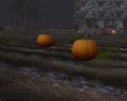 Tirisfal Pumpkin
