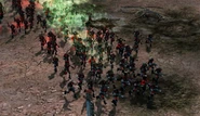 KW Militants