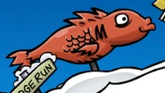 Mullet on CP Mountain