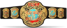 ECW Heavyweight Championship