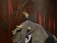 Elephantdance.jpg