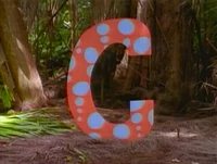 JungleC.jpg
