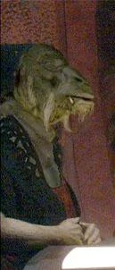Rogra.JPG