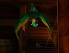 Polly