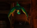 Polly.jpg