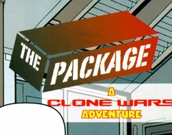 The Package.jpg
