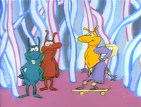 CountingFleas