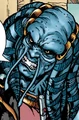 Felnheadshot.jpg