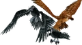 Stormcrows.png